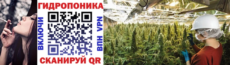 Виды наркоты Ельня Канабис  Амфетамин  ГЕРОИН  A PVP  ГАШИШ 