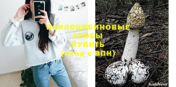 прущие грибы Аркадак