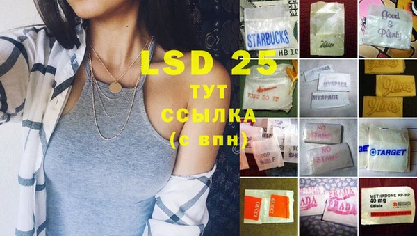 амф Алзамай