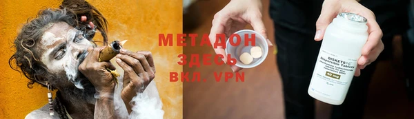 прущие грибы Аркадак