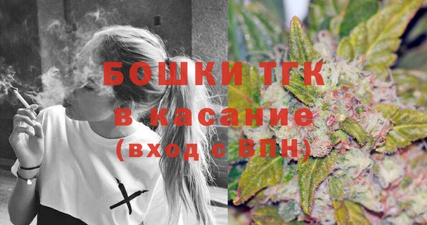 прущие грибы Аркадак
