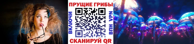 Галлюциногенные грибы Psilocybine cubensis  Ельня 